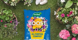 boost all purpose compost lifestyle on grass