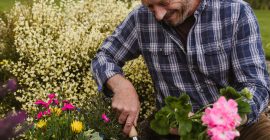 boost all purpose compost plant up containers