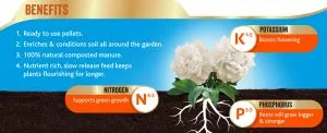 organic chicken manure pellets