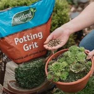 potting grit in use
