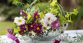 Top Tips For Flower Cutting