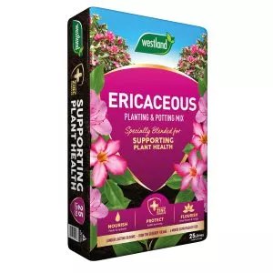 Compost for Pots & Containers: ericaceous