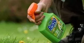 How to Kill Weeds in your Lawn