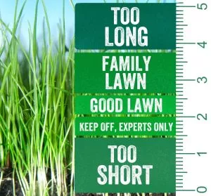 mowing your lawn the right height