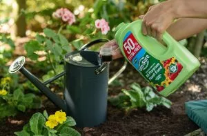 Plant food for Pots and containers