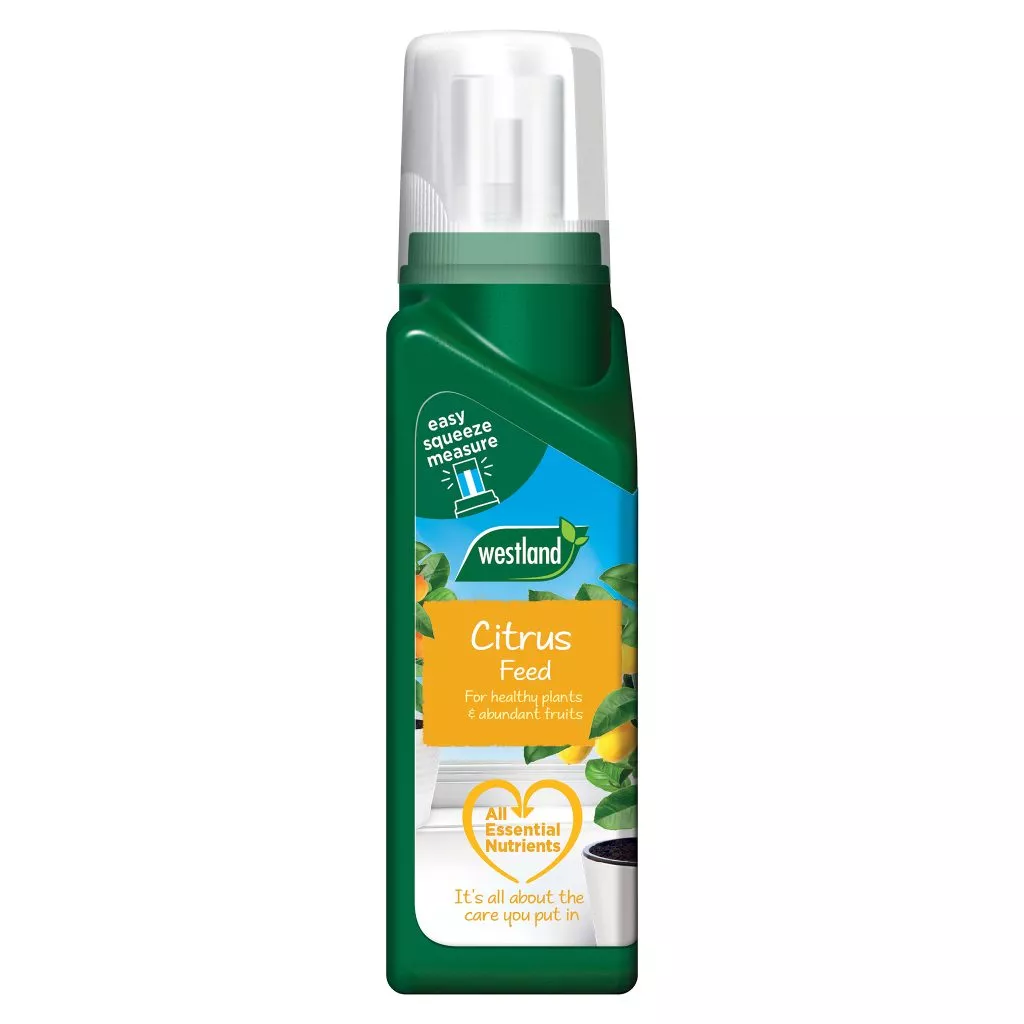 citrus feed