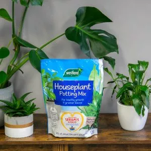 westland houseplant potting mix