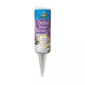 orchid droplet feeder