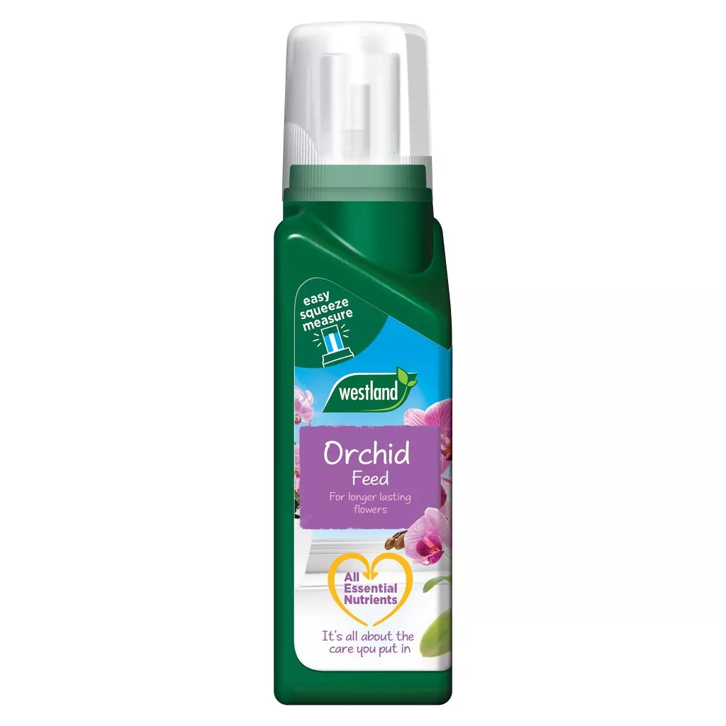 orchid feed