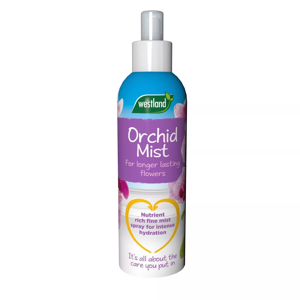 orchid mist