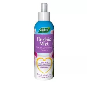orchid mist