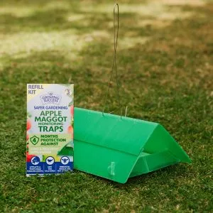 growing success apple maggot trap refill kit