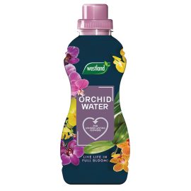 westland orchid water