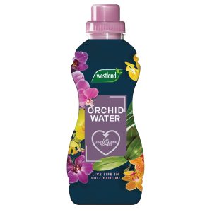 westland orchid water