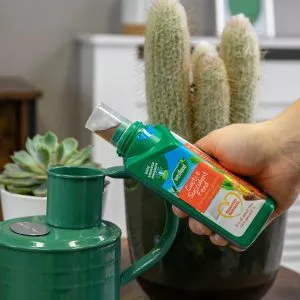 Cacti & Succulent feed watering can