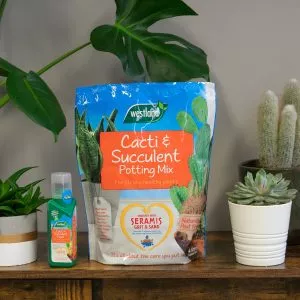 cacti and succulent potting mix and feed