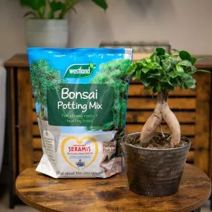 bonsai potting mix