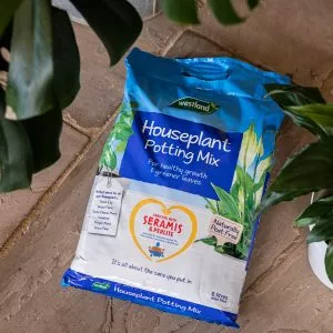 westland houseplant potting mix 20l