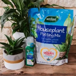 westland houseplant potting mix