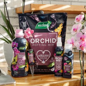 westland orchid indoor range on shelf