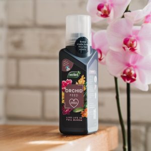 westland orchid range on shelf