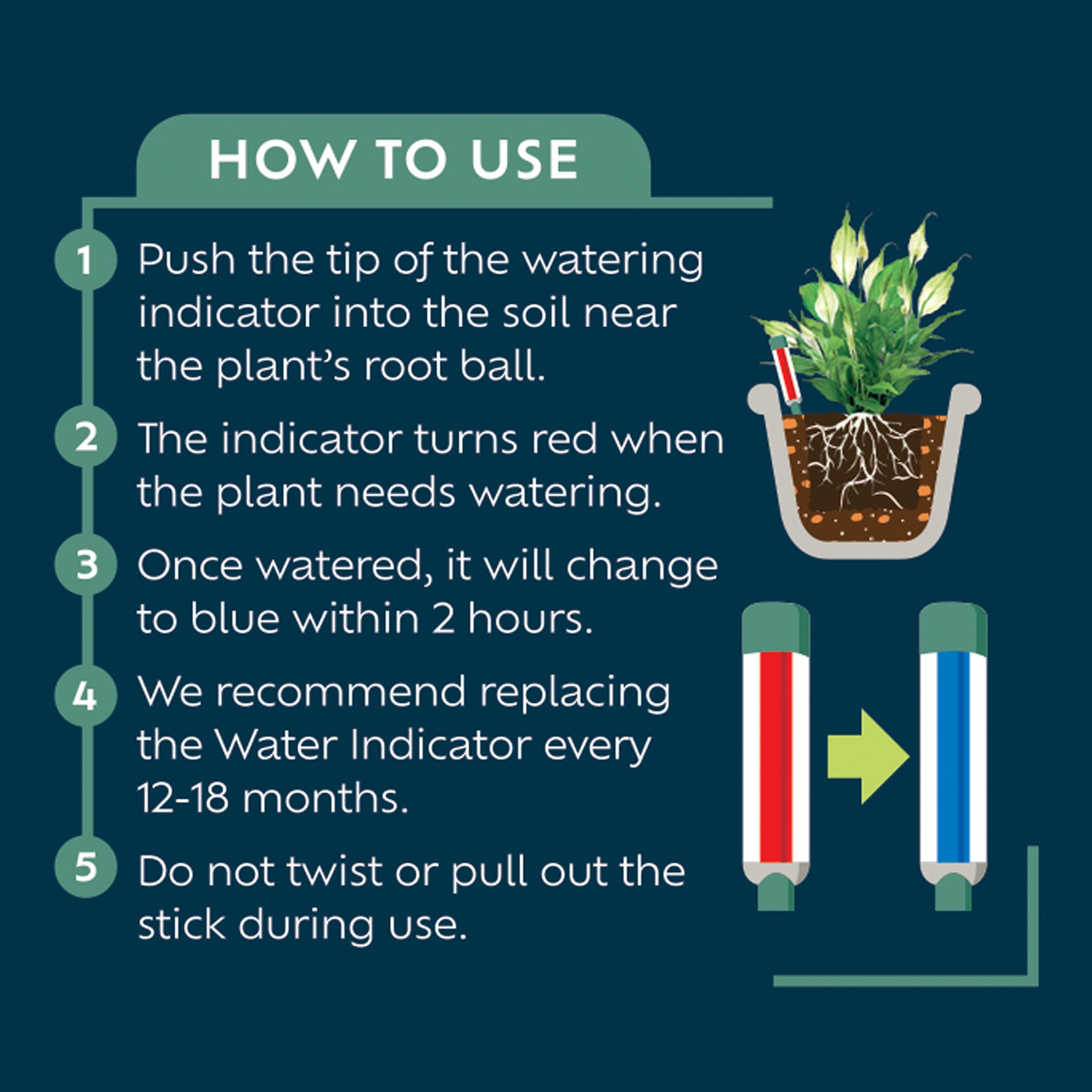 Westland Houseplant Watering Indicator Houseplant Care Garden health