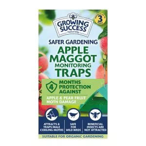 growing success apple maggot trap