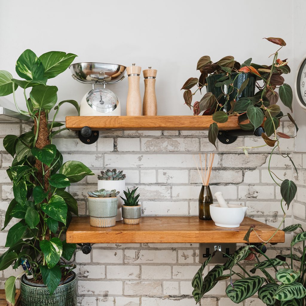How Houseplants improve Health & Wellbeing - Garden Health