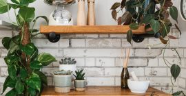 How Houseplants Improve Health & Wellbeing