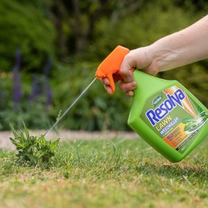 resolva lawn weedkiller in use