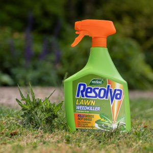 resolva lawn weedkiller next to weed