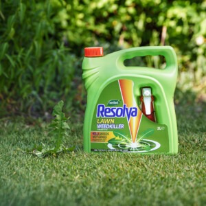 Resolva lawn weedkiller 3l on lawn