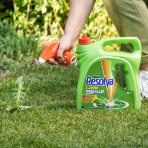 Resolva lawn weedkiller 3l on lawn