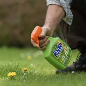 Resolva Lawn WeedKiller Extra Ready To Use in use