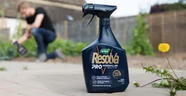 Why Choose Resolva Pro?