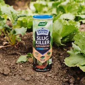 growing success slug killer
