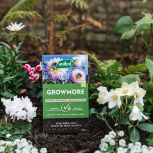 westland growmore on soil