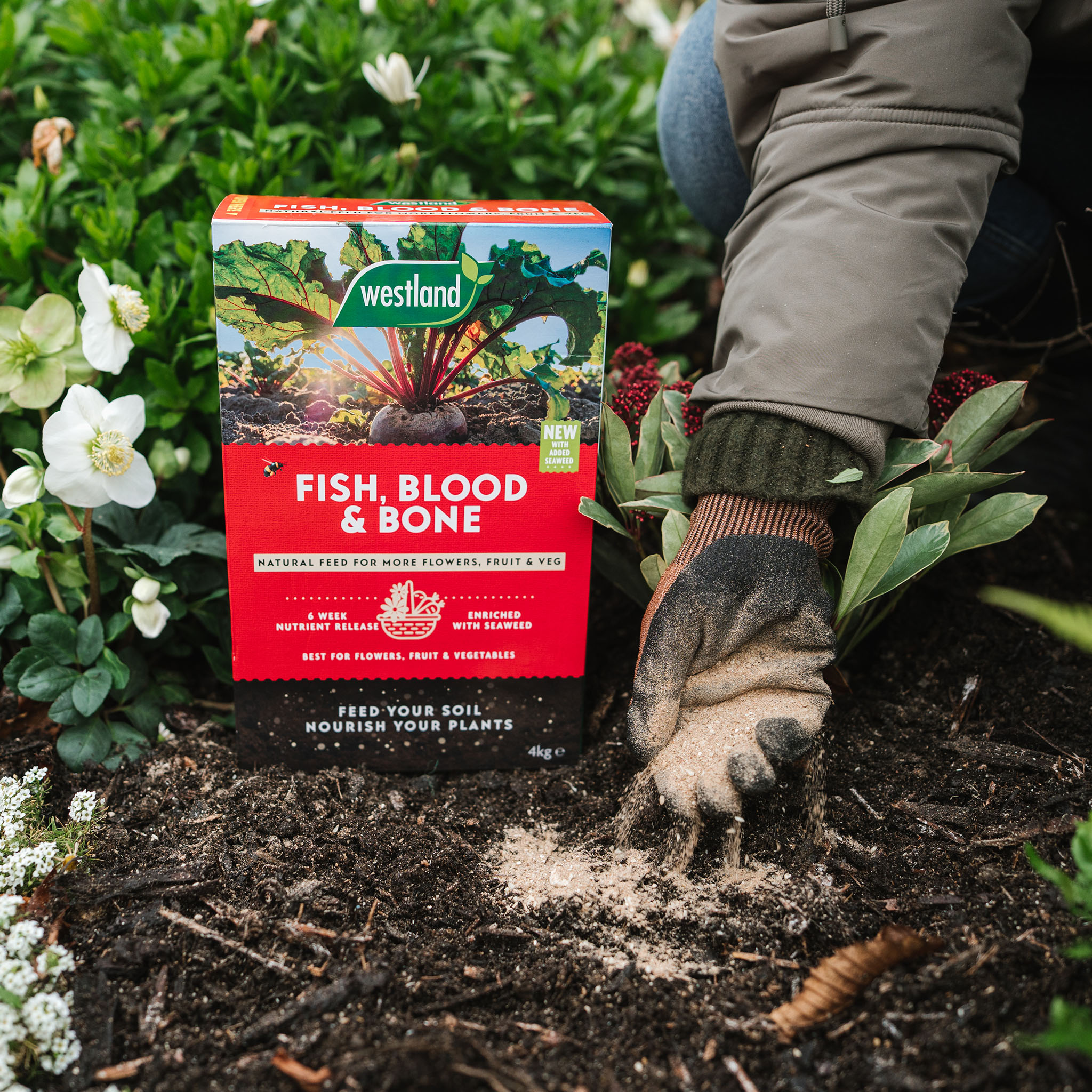 fish blood and bone being added to soil