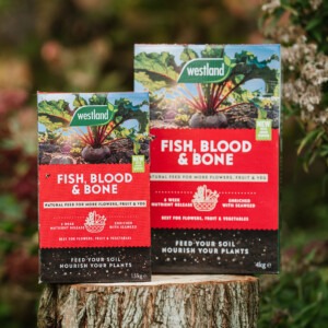 fish blood and bone on tree trunk