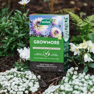 westland growmore on soil