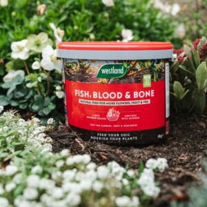 westland fish blood and bone 8kg tub