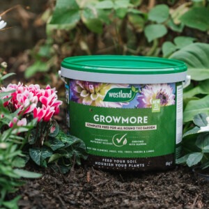 westland growmore on soil