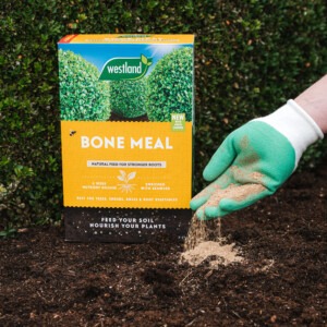 westland bone meal putting into soil
