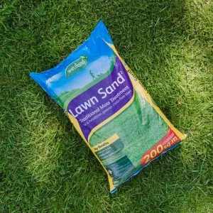 westland lawn sand on lawn