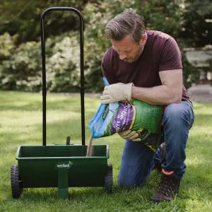 westland lawn sand being poured into spreader