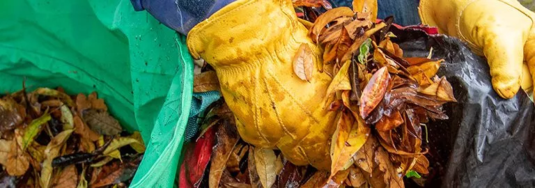 how to make leaf mould banner