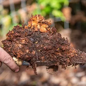 how to make leaf mould step 8