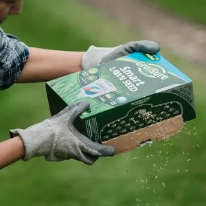 sowing new lawn smart seed