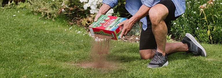 how to repair lawn patches