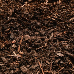 westland bed and border chipped bark close up in garden border